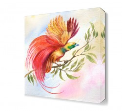 Rengarenk Kuş Tablosu