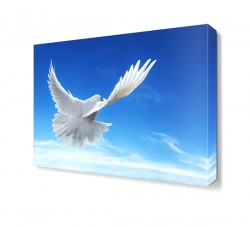 Uçan Beyaz Güvercin Tablosu