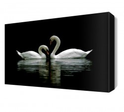 Gece Sudaki Kuğular Tablosu