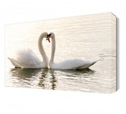 Güzel Kuğular Tablosu