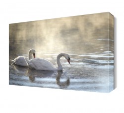 Yıkanan Kuğular Tablosu