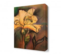 Beyaz Karanfil Tablosu