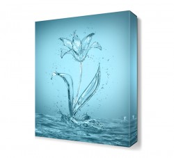 Sudan Çiçek Tablosu