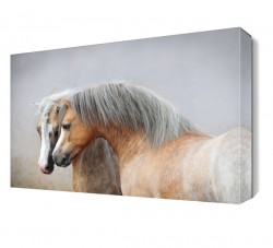 Sevimli Atlar Tablosu