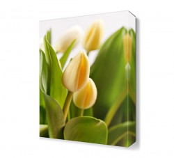 Yeşil Yapraklı Çiçek Tablosu