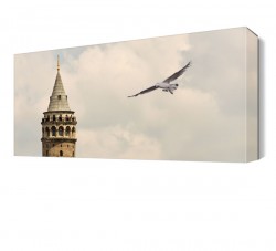 Galata Kulesi ve Martı Tablosu
