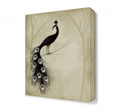 Siyah Tavus Kuşu Tablosu