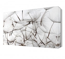 Karahindiba 3 Canvas Tablo