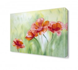 Yağlı Boya Gelincik Tablosu