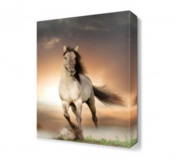 Siyah Kuyruklu At Tablosu