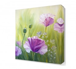 Mor Gelincikler Tablosu