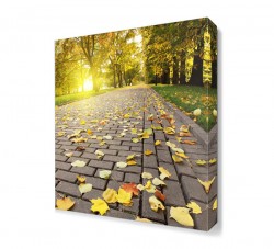 Yerdeki Yapraklar Canvas Tablo