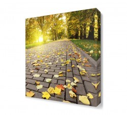 Yerdeki Yapraklar Canvas Tablo (1)