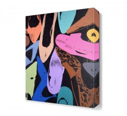 Ayakkabı Canvas Tablo