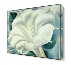 Orkide Canvas Tablo (1)