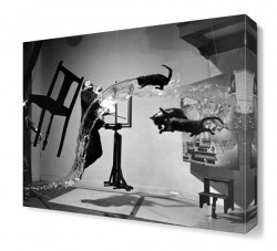 Salvador Dali Canvas Tablo