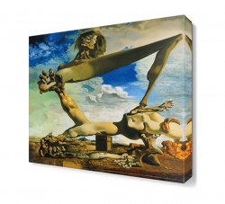 Salvador Dali Canvas Tablo