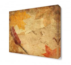 Tüy Kalem Canvas Tablo