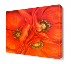Poppies3 Tablosu