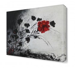 Siyah Beyaz Kasımpatı Tablosu (1)