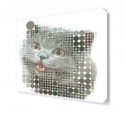 Dairelerden Kedi Tablosu (1)