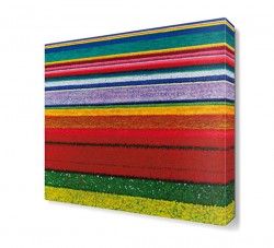 Renkli Tarla Tablosu