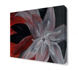 Kırmızı Siyah Çiçek Tablosu