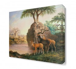 Thomas Baines Tablosu