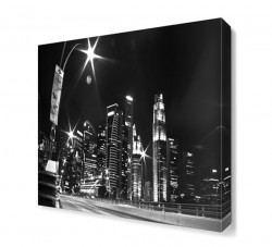 Siyah Beyaz Şehir Manzara Tablosu