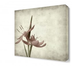 Güzel Pembe Çiçek Tablosu