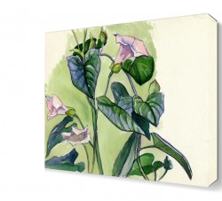 Yapraklı Pembe Çiçek Tablosu