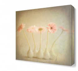 Küçük Vazolar Tablosu