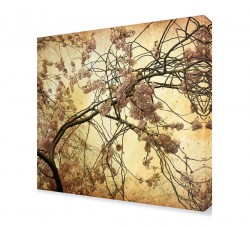 Ağaç Dalındaki Pembe Çiçek Tablosu