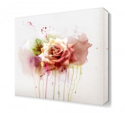 Akan Güller Tablosu